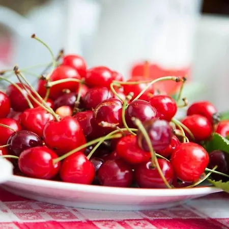 Bricco Dei Ciliegi 3* Cortazzone