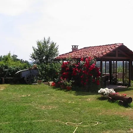 Bricco Dei Ciliegi Bed and Breakfast Cortazzone