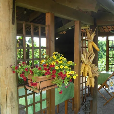 Bricco Dei Ciliegi Cortazzone