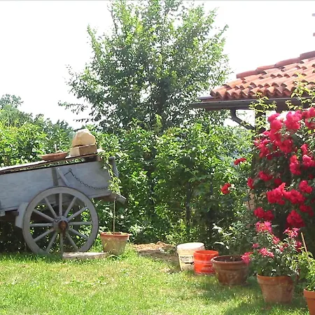 Bricco Dei Ciliegi Couette-café Cortazzone