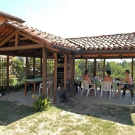 Bricco Dei Ciliegi