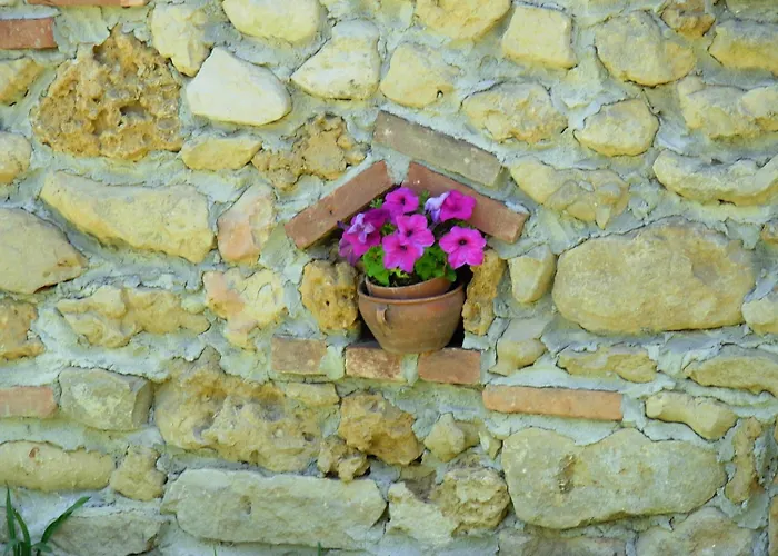 Bricco Dei Ciliegi