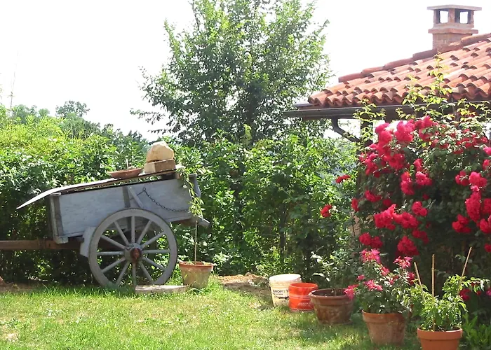 Bricco Dei Ciliegi Bed & Breakfast Cortazzone