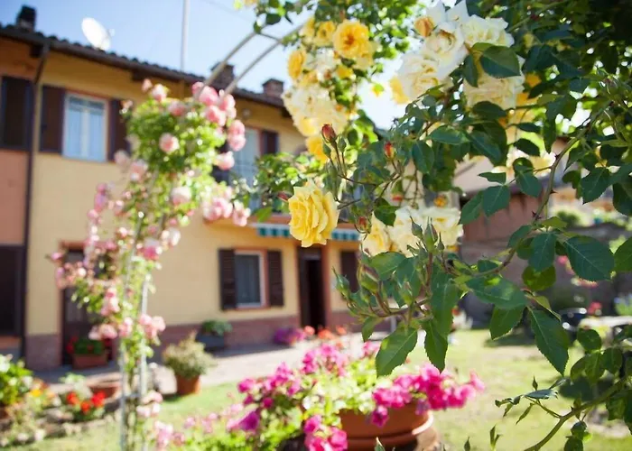 Bricco Dei Ciliegi